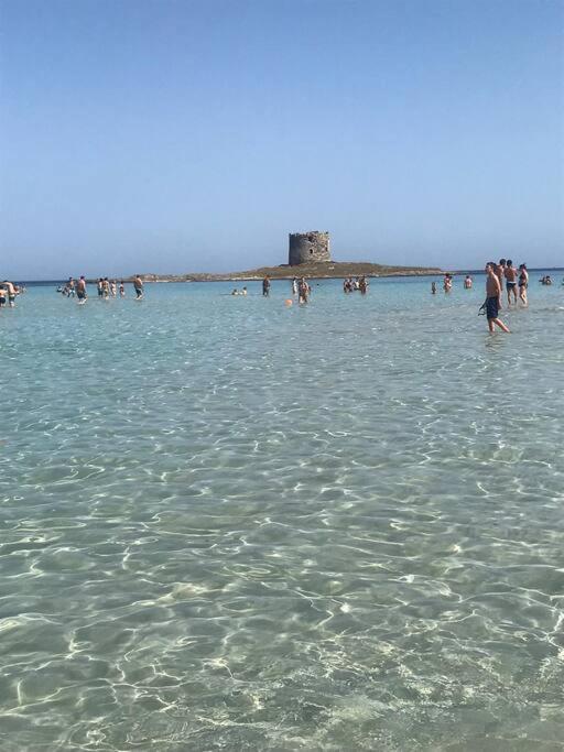 Casa Vacanze Stelle Marine Viddalba Экстерьер фото